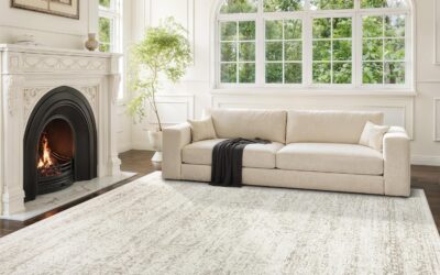 5 Best Area Rugs for Living Room That Work in 2026
