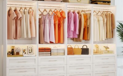 Best Closet System 2026: 5 Organizer Kits Compared