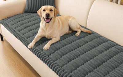 Best Couch Covers for Dogs in 2026