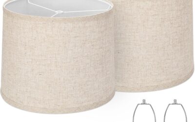Best Drum Table Lamps in 2026