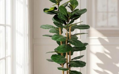 Best Faux Plants for the Living Room (2026)