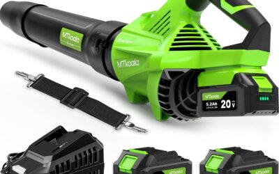 Best Leaf Blower 2026: 5 Cordless & Corded Picks
