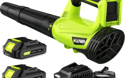 Best Cordless Leaf Blower 2026: 5 Battery-Powered Picks
