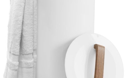 Best Towel Warmer 2026: 5 Cozy Bucket Picks