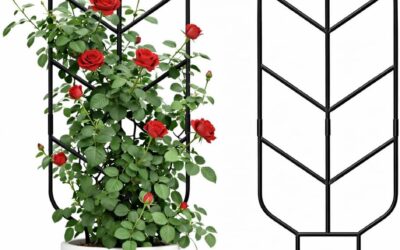 The Best Trellises for Climbing Plants in 2026