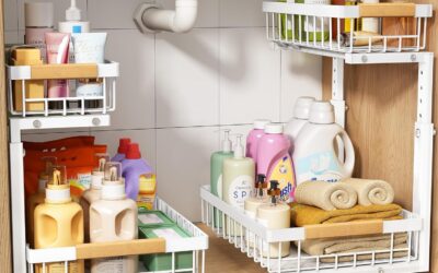 Best Under Sink Organizer 2026: 5 Pull-Out Picks