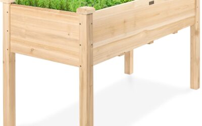 Ceramic vs Plastic Planter: Which Wins? (2026)