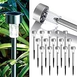 Best Dollar Tree Solar Lights Alternatives 2026
