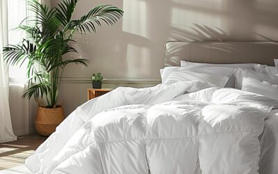 Best Down Comforter Queen Picks for 2026