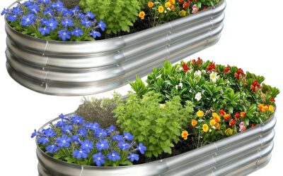 Galvanized vs Wood Raised Bed: Which Wins? (2026)