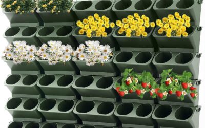Garden Decor Ideas That Are Defining 2026