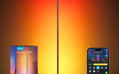 The Best Govee Floor Lamps in 2026
