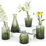 Best Green Hoosier Glass Vase Picks for 2026