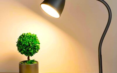 How to Choose a Desk Lamp: A Buyer Guide (2026)