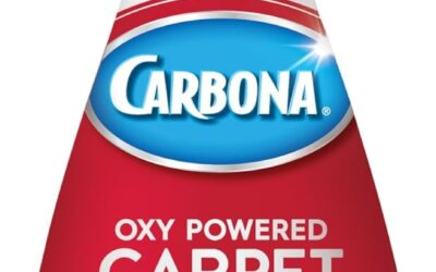 How to Clean an Area Rug the Right Way