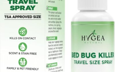 How to Get Rid of Bed Bugs in a Mattress