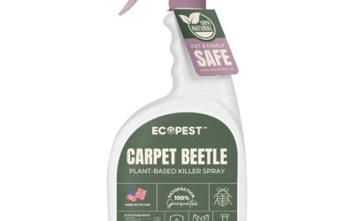 How to Get Rid of Carpet Beetles: A Step-by-Step Guide