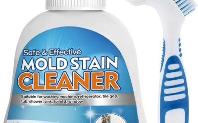 How to Get Rid of Mold in the Bathroom: 5 Steps (2026)