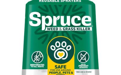 How to Get Rid of Weeds Naturally (2026)