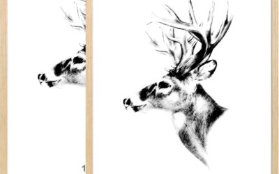 How to Hang a Gallery Wall: A Step-by-Step Guide (2026)
