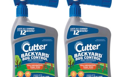 How to Keep Bugs Away From Your Patio (2026)