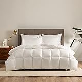 Best Hypoallergenic Comforter Picks for 2026