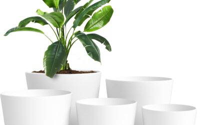 Best Indoor Planters for 2026: Vetted Picks