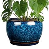 Best Large Ceramic Planters for 2026