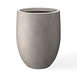 Best Large Indoor Planters for 2026: Vetted Picks