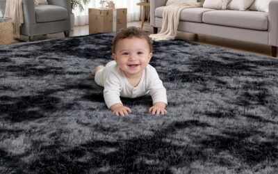 The 5 Best 8×10 Living Room Rugs in 2026