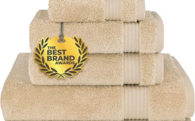 Best Alternatives to L.L. Bean Towels in 2026