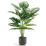 Best Patio Plants for 2026: Faux Picks That Last