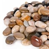 Best Patio Rock 2026: 5 River Stone Picks Compared