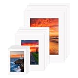 Best Picture Frame Mat Picks for 2026