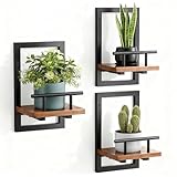 Best Plant Wall Shelf Picks for 2026