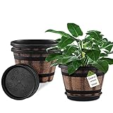 Best Plastic Outdoor Planters for 2026