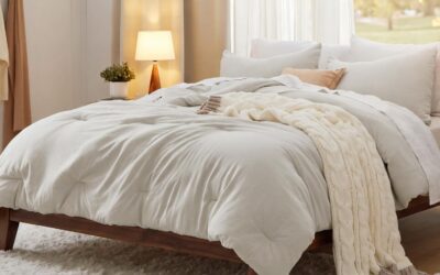Best Plush Comforter Picks for 2026: 5 Soft Queen Sets