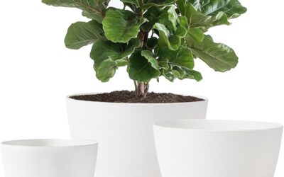 Best Self Watering Planters Outdoor: 2026 Picks