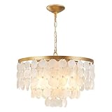 Best Shell Chandelier Picks for 2026