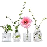 Best Small Glass Vases for 2026: Ranked & Vetted