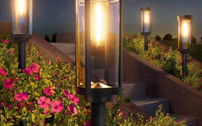 The 5 Best Solar Path Lights for Every Yard in 2026