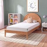 Best Twin Size Mattress for Daybed: 2026 Picks