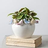 Best Vintage Bird Planter 2026: 5 Characterful Pots Compared